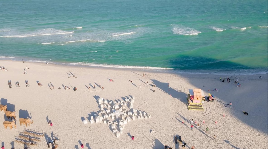 3d printed reef, 3dpotter reef restoration